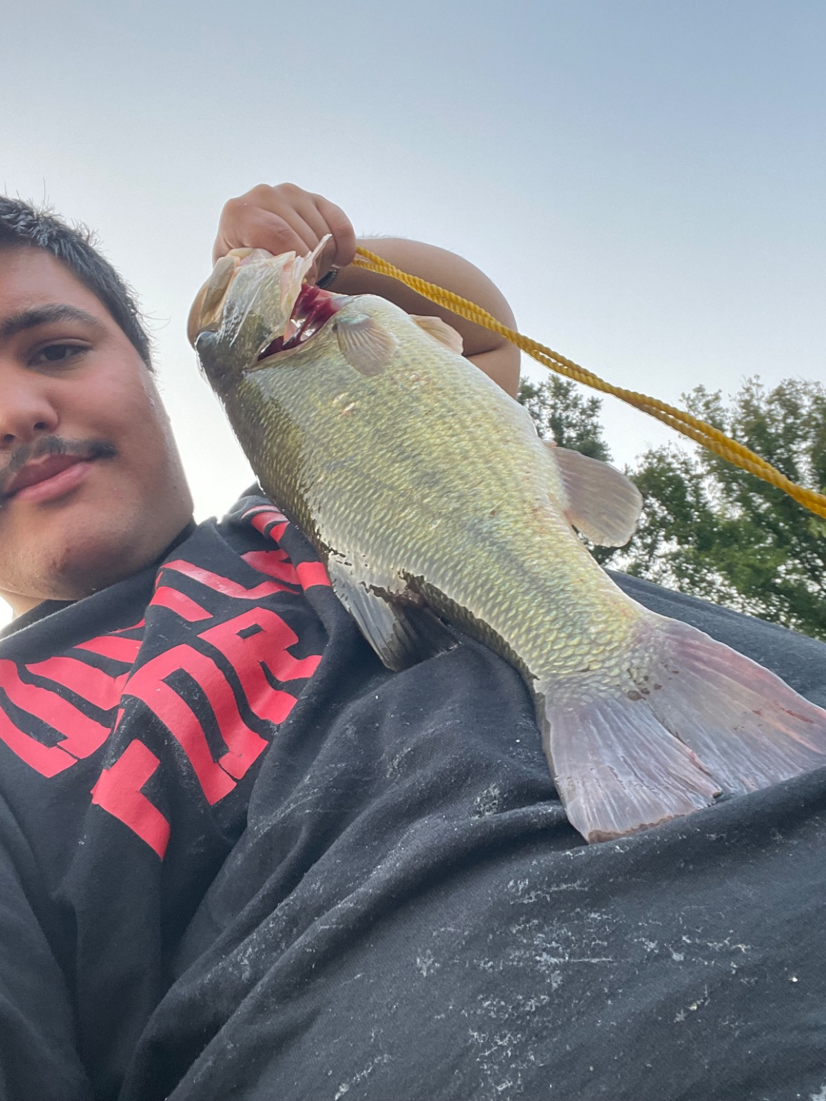 21.0" Largemouth Bass