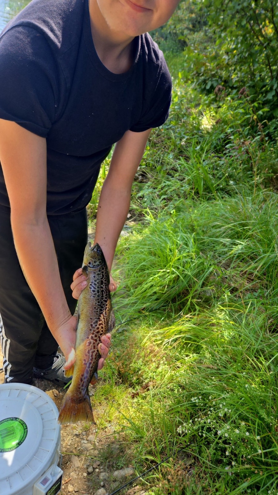 unknown length Tiger Trout