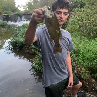 Fish photo