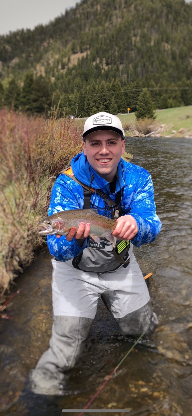 16.5" Rainbow Trout