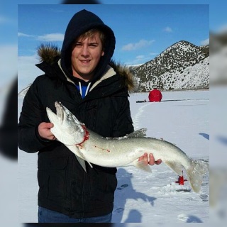 Fish photo