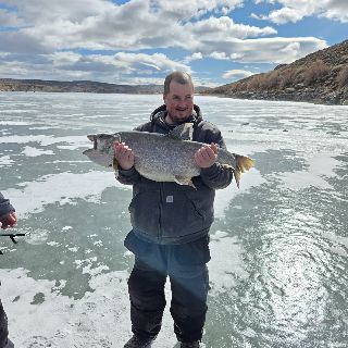 Fish photo