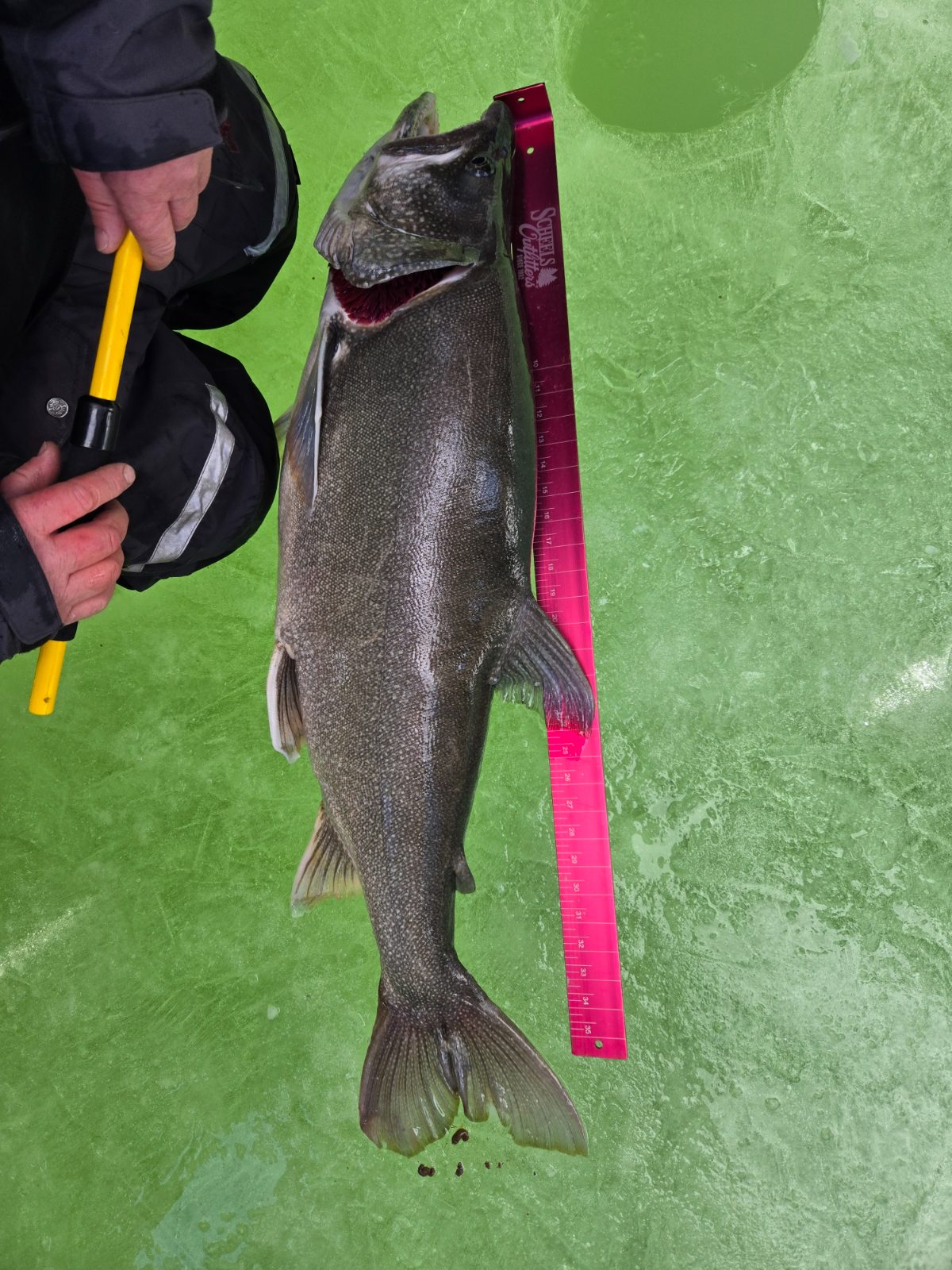 Measurement photo